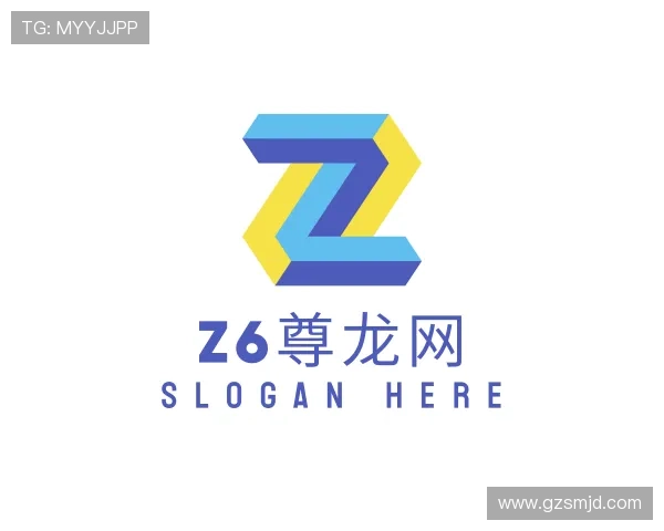 发现Z6尊龙网